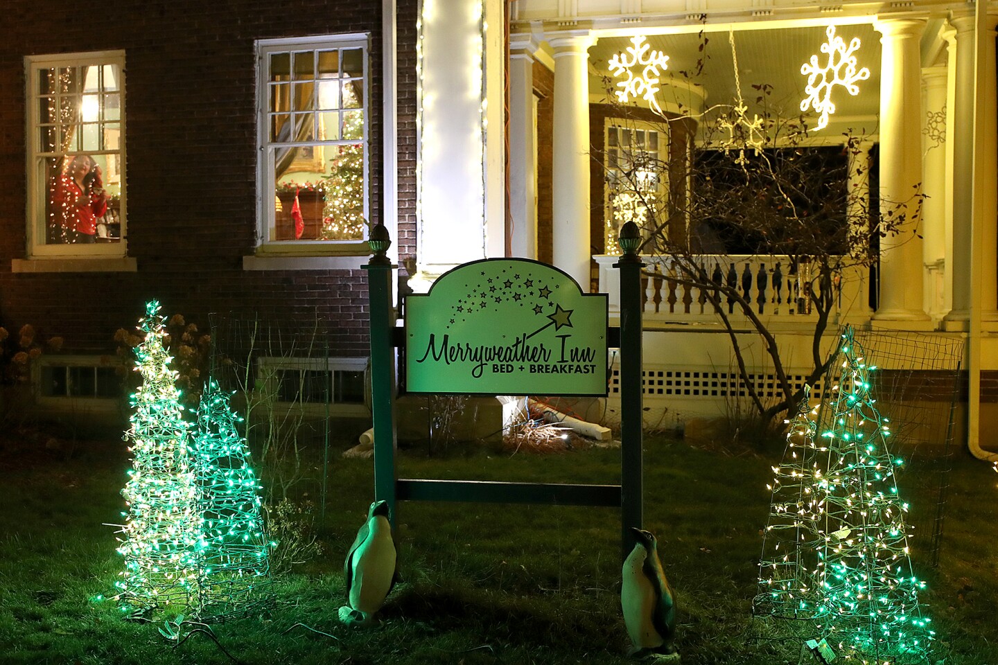 Marcia Hales Christmas Lights 2025