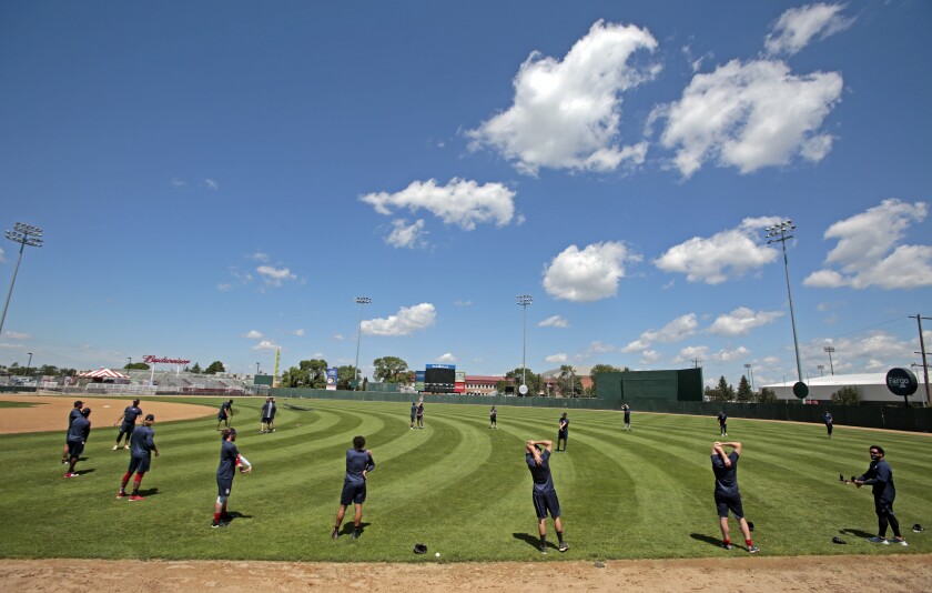06XX20.S.FF.Goldeyes.04.jpg