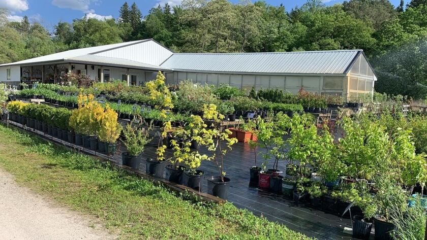 Spring Grove Property Nursery Exterior.jpg