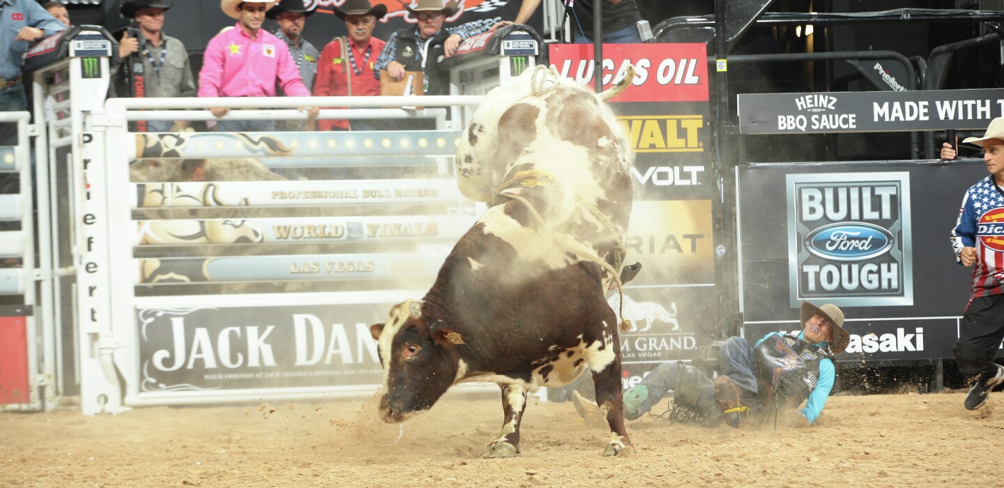 Bailey Pro Rodeo’s rags-to-riches bull proving hard to ride - Agweek ...