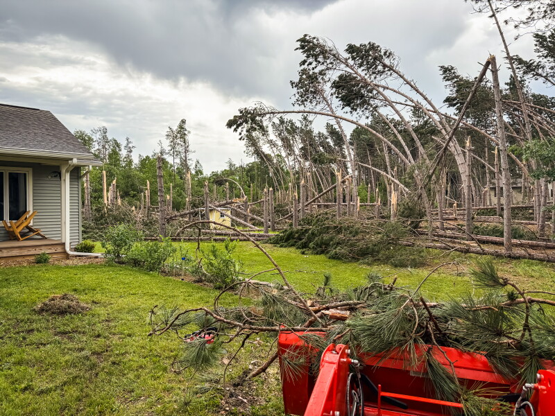 Strength of Bemidji endures as scars of June 2025 storm remain one year later