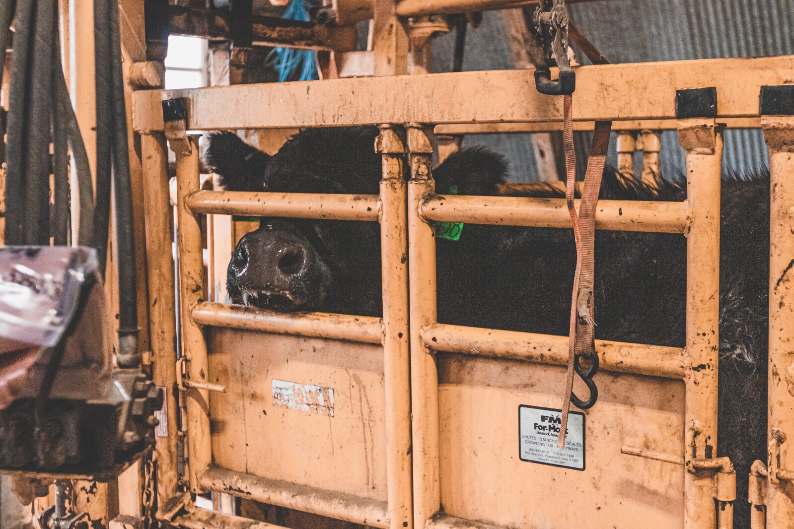 GronsethCattleFarm-72.jpg