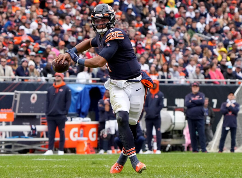 110221.s.sfc.Fields.Bears.jpg