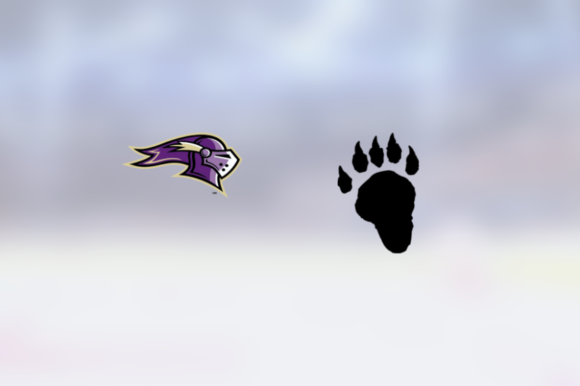 img_500216829_rinklive.png