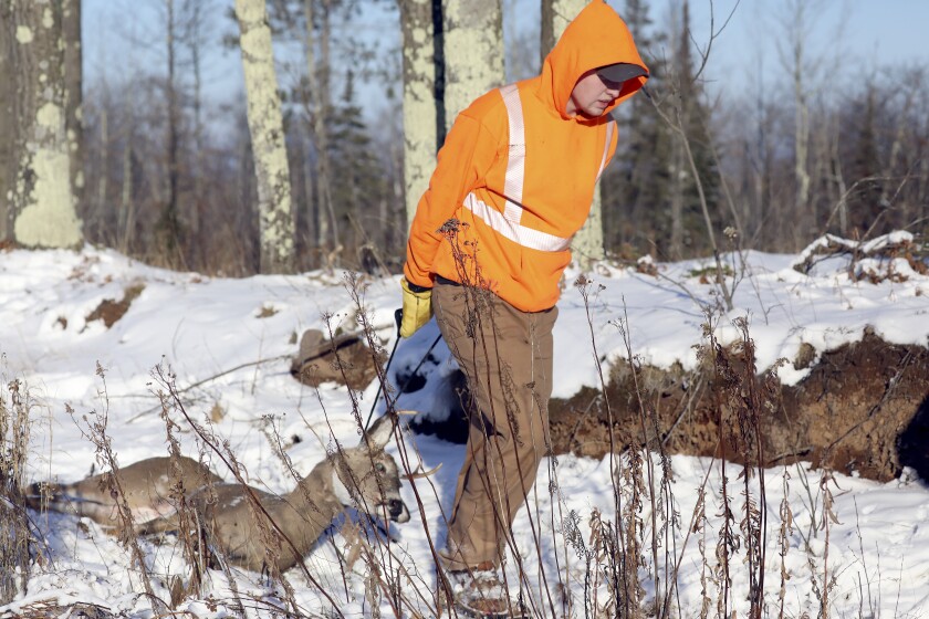 wisconsin deer hunting