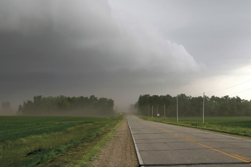 2613402+StormNearsWEB.jpg