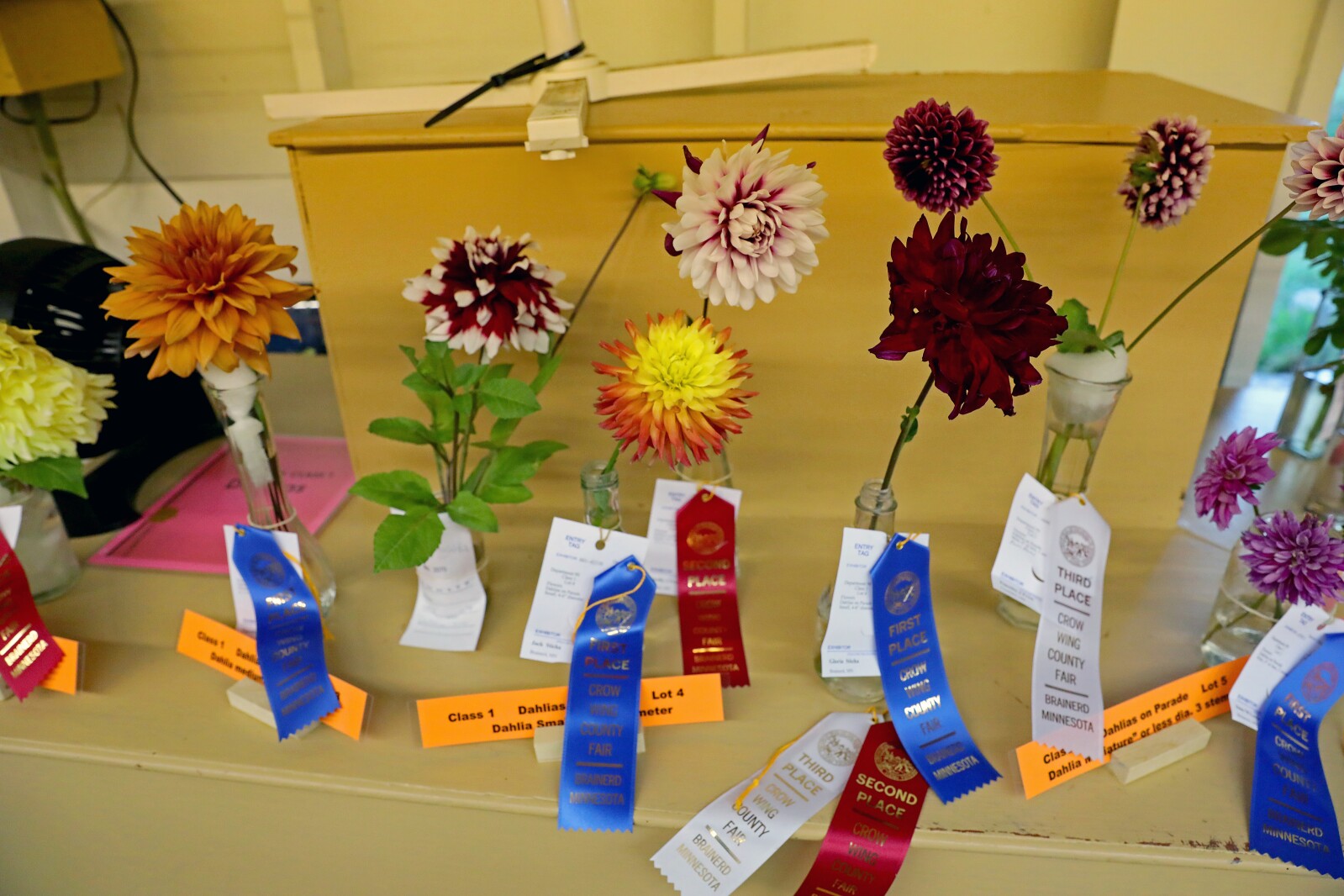 Crow Wing County Fair Aug. 2022.