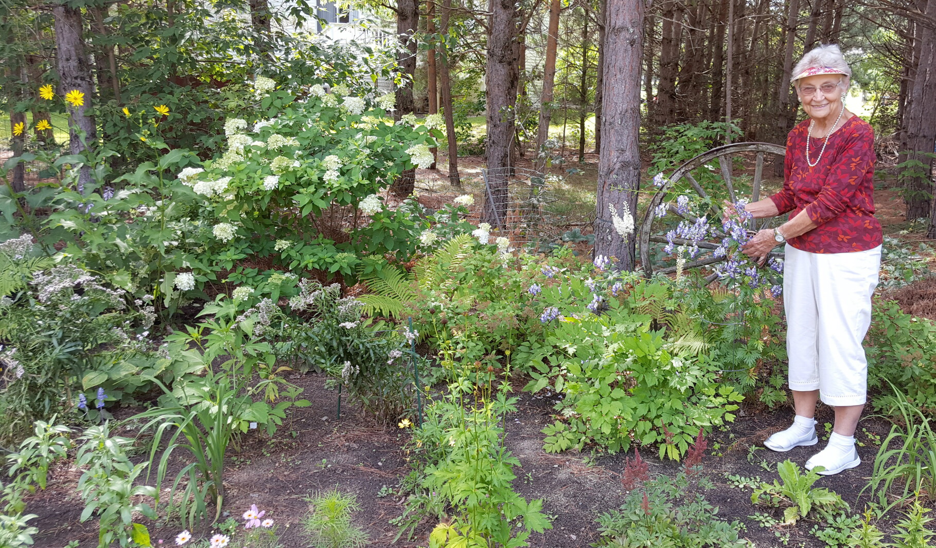 Centenarian ‘blooms’ in Park Rapids