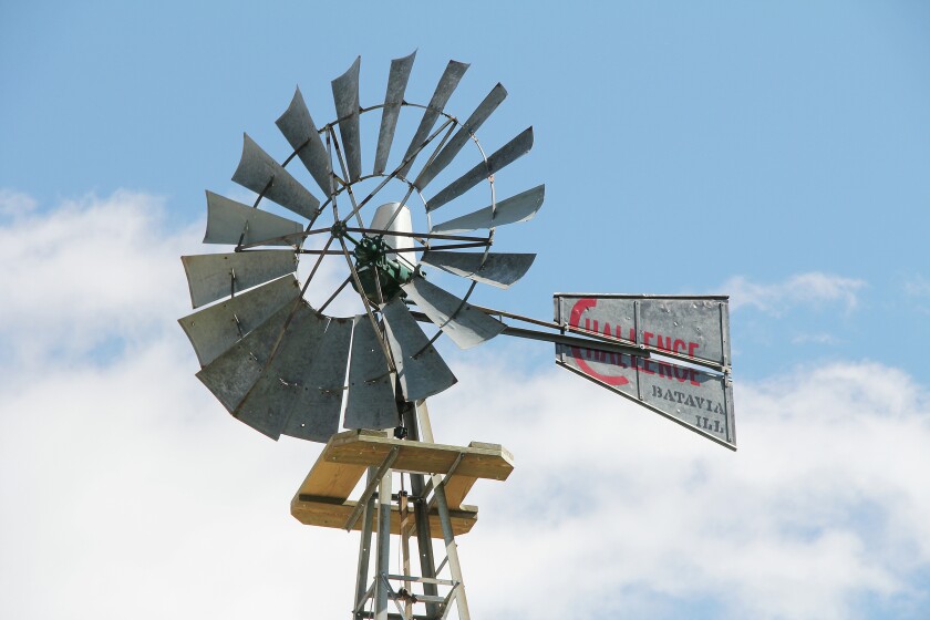 2573549+Restored Windmill 1 WEB.jpg