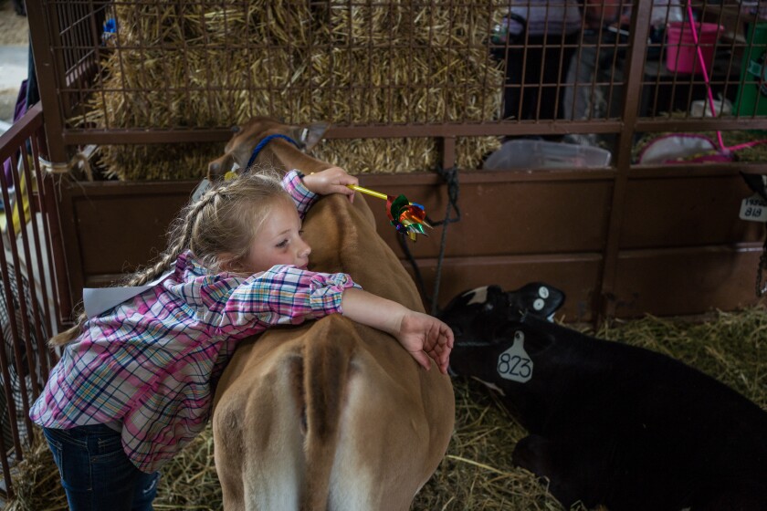 Mower County Fair