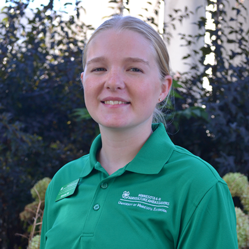 Willmar Public Schools prepares to survey residents about school Willmar Public Schools prepares to survey residents about school