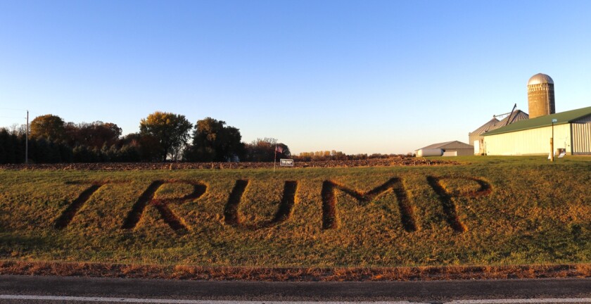 Trump display