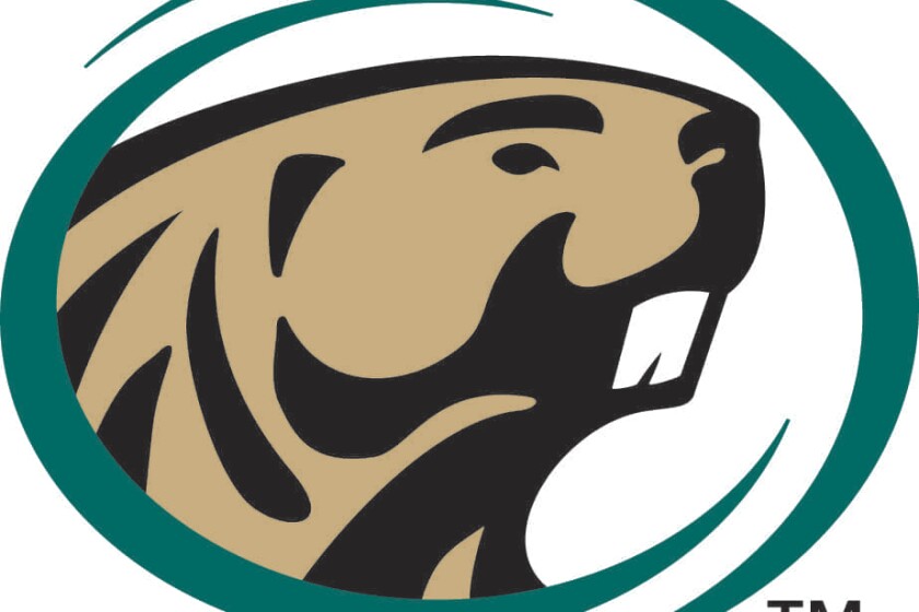 my bsu bemidji state