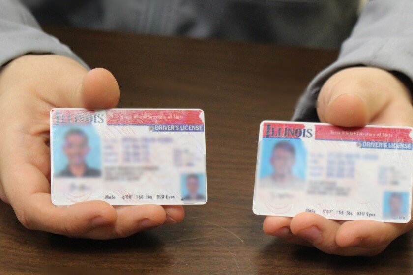 Register fake ids and drivers license