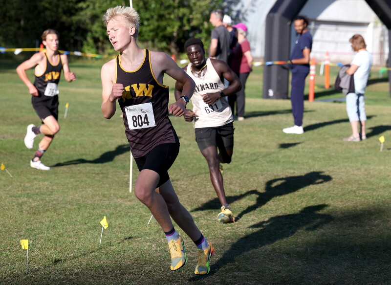 Northwestern Boys Win WIAA Division 2 Sectional; Two Area Teams Qualify for State