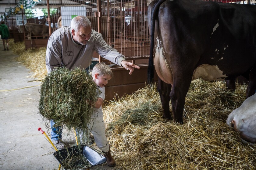 Mower County Fair