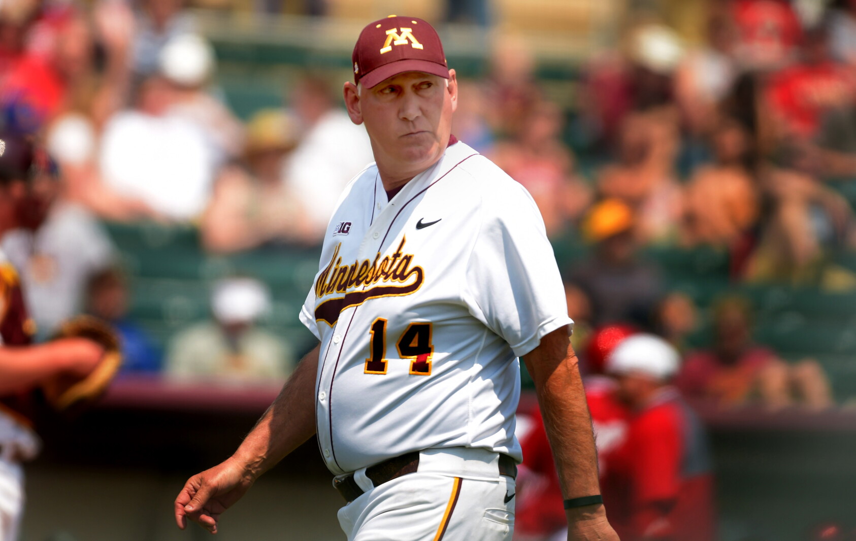 Weather In Anderson Sc Gophers’ longtime baseball coach John Anderson dies at 71 - InForum ...