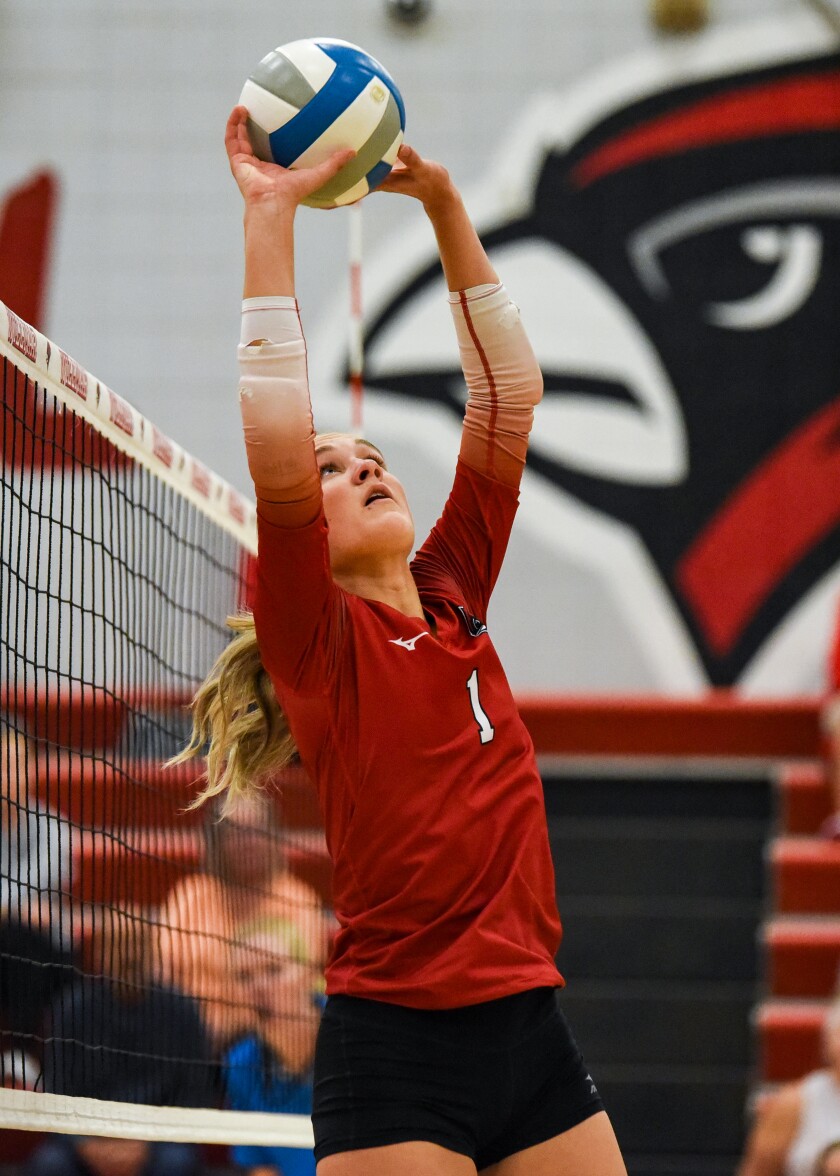Volleyball roundup: Willmar Cardinals make quick work of St. Cloud Tech ...