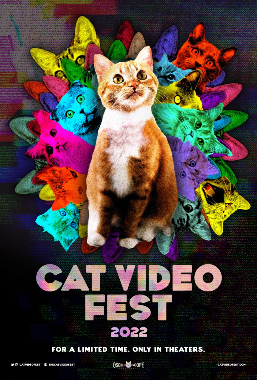 CatVideoFest_2022_poster.jpeg