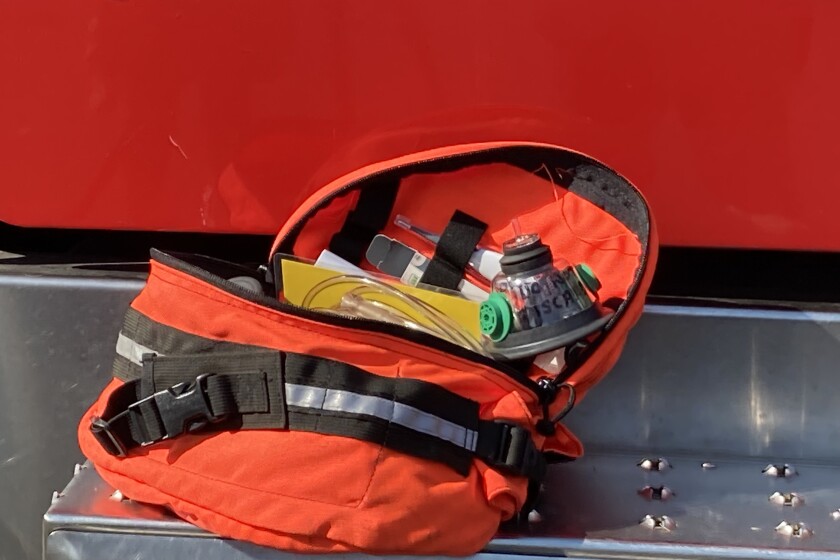 Donation of oxygen masks for pets saved Duluth dog's life - Duluth News ...