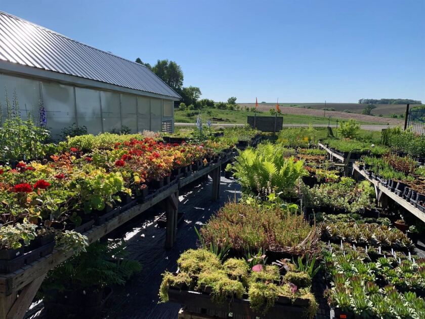 Spring Grove Porperty Nursery garden.jpg