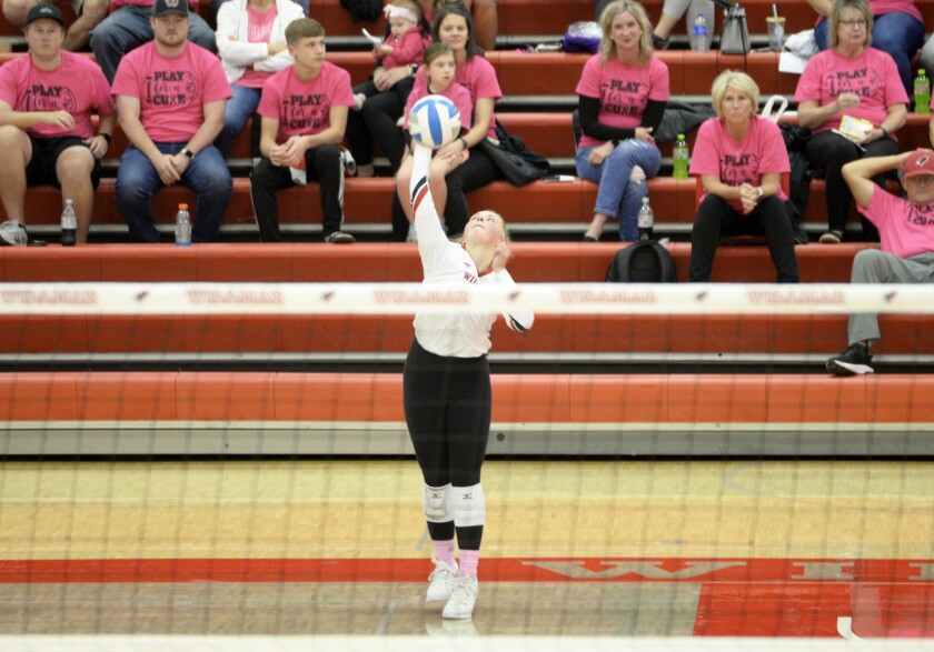 100422.S.WCT.CARDINALS.VOLLEYBALL.STARK.jpg