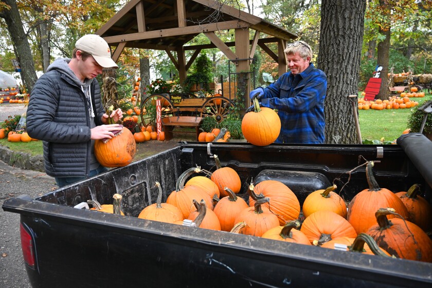 101721.N.BD.BoysNberriesPumpkinPatch7.jpg