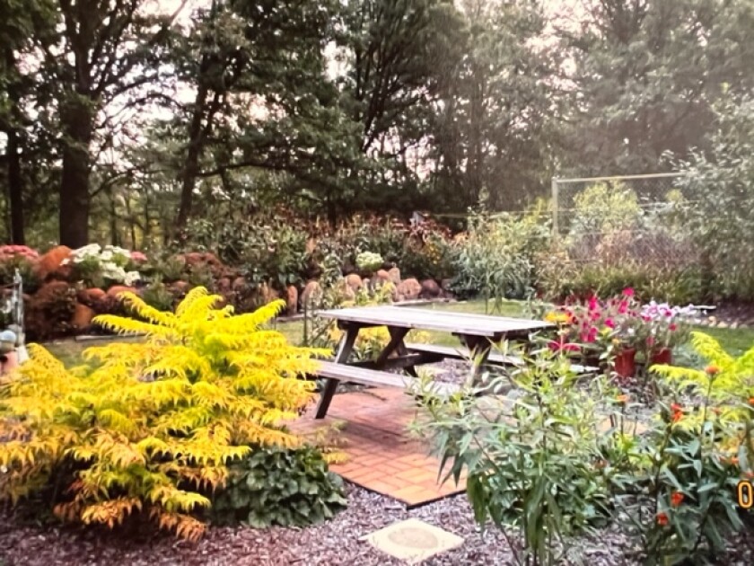 Carr property after.jpg