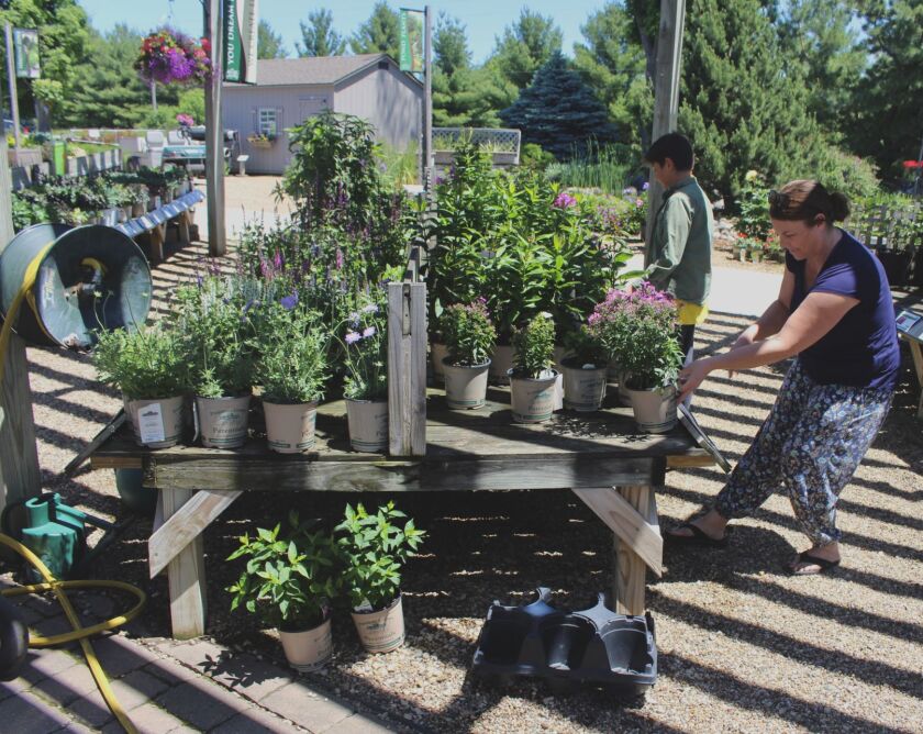 Sargent's Gardens plants.jpg