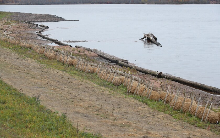 Restoration work along shoreline.