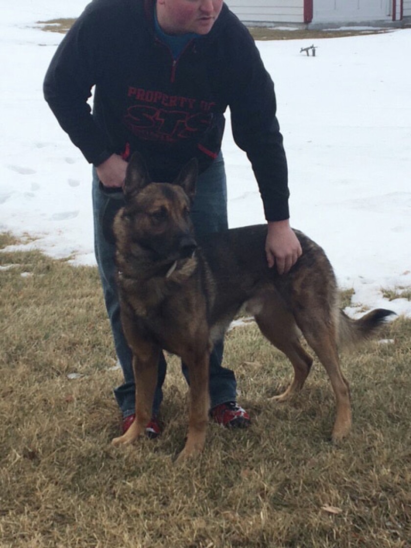 3132666+020317.N.DR_.POLICEPUPS.jpg