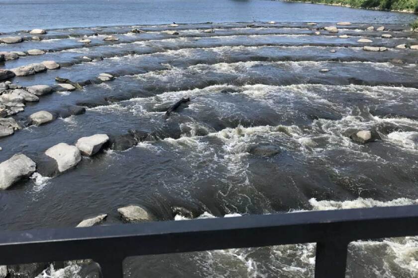 Pine River Dam work will progress through winter - Pine and Lakes Echo ...