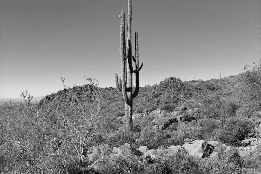 Carter Moller Land.jpg