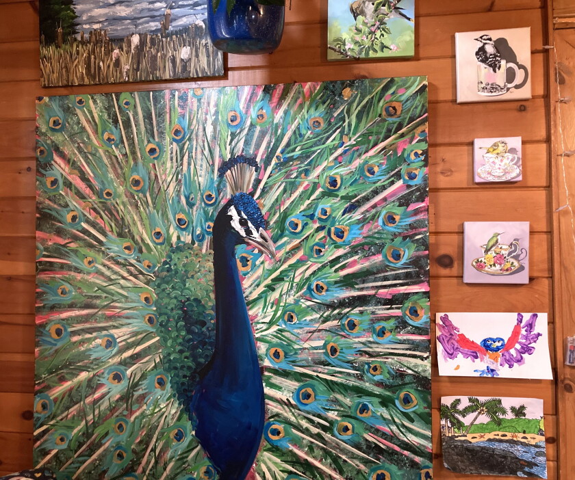Peacock.jpeg