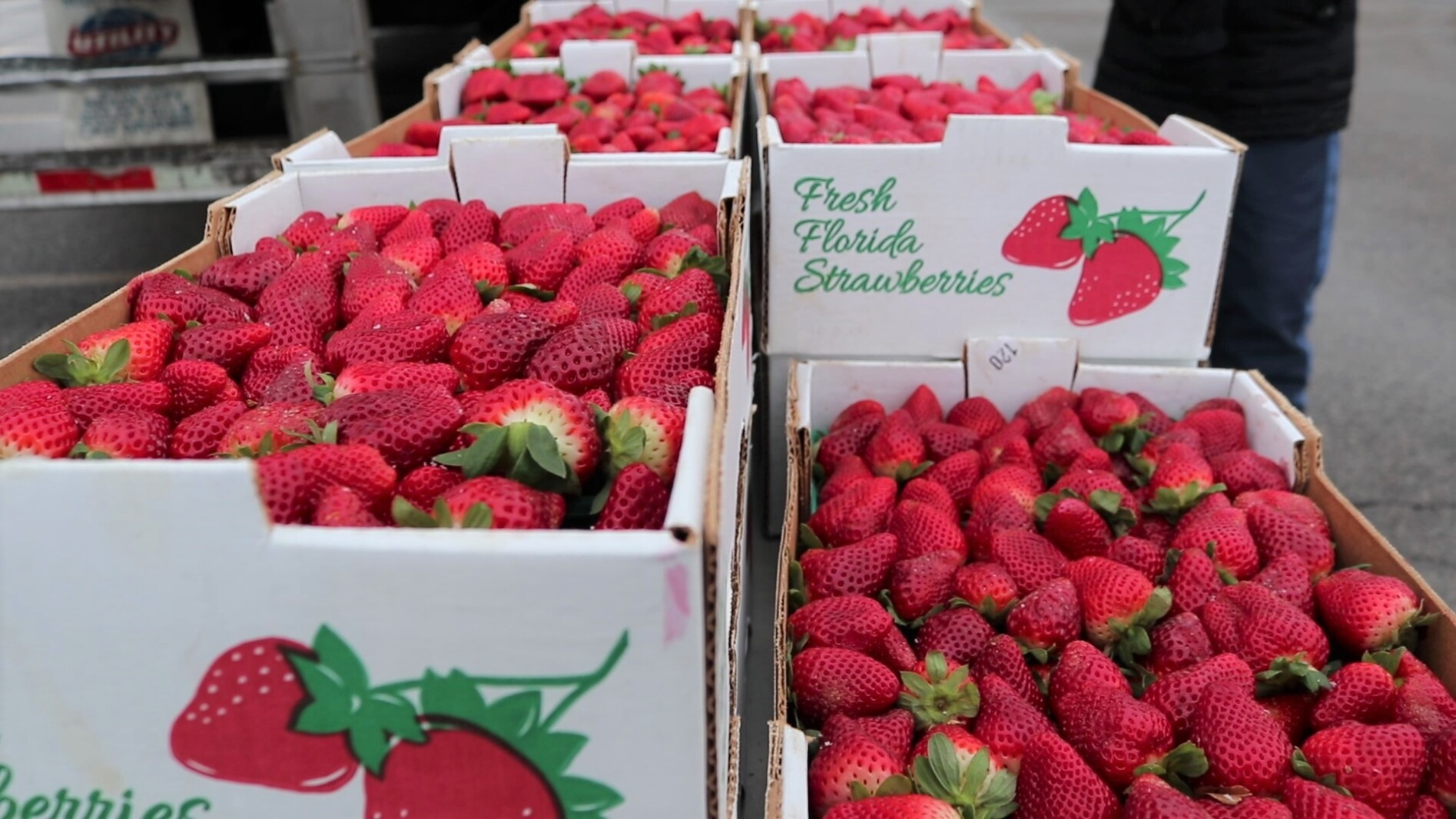 The Fruit Truck Delivers Fruit By The Freight Agweek 1 Source For the-fruit-truck-delivers-fruit-by-the-freight-agweek-1-source-for