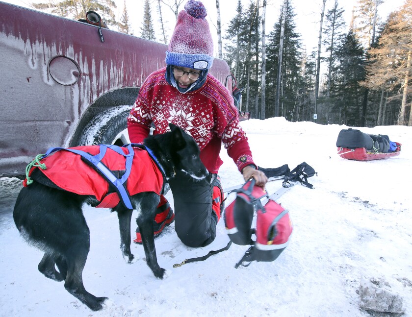 Emily Ford takes pack off Diggins.