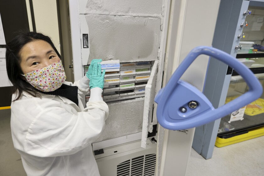 Researchers working with water samples in a laboratory setting.