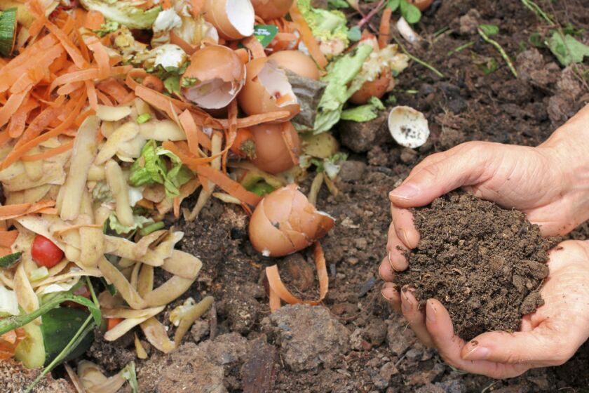 Compost