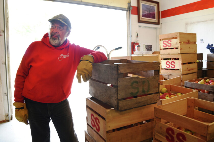 It's a banner apple crop this year for Pennock grower - West Central ...