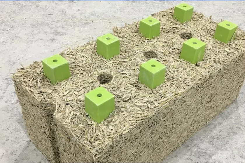 Renewabuild Great Plains to build hempcrete blocks in Iowa Renewabuild Great Plains to build hempcrete blocks in Iowa