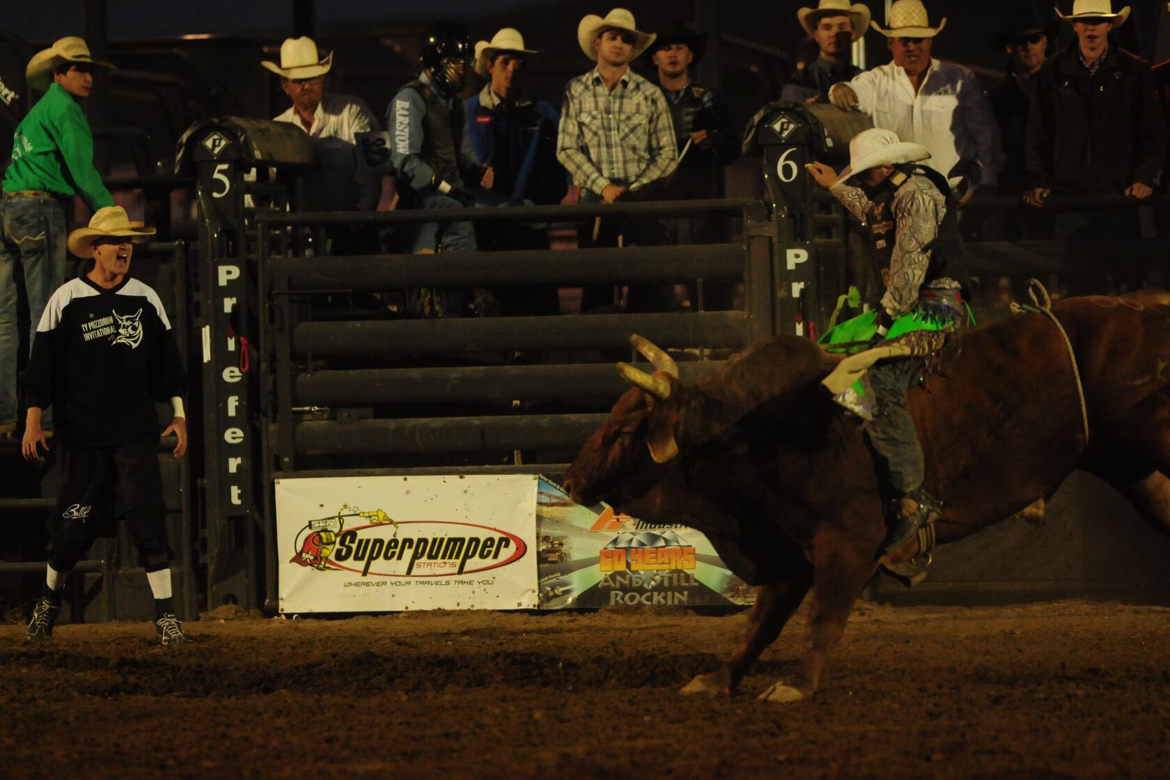 Bull riding winner Whitt shines on final day of Roughrider Days rodeo ...