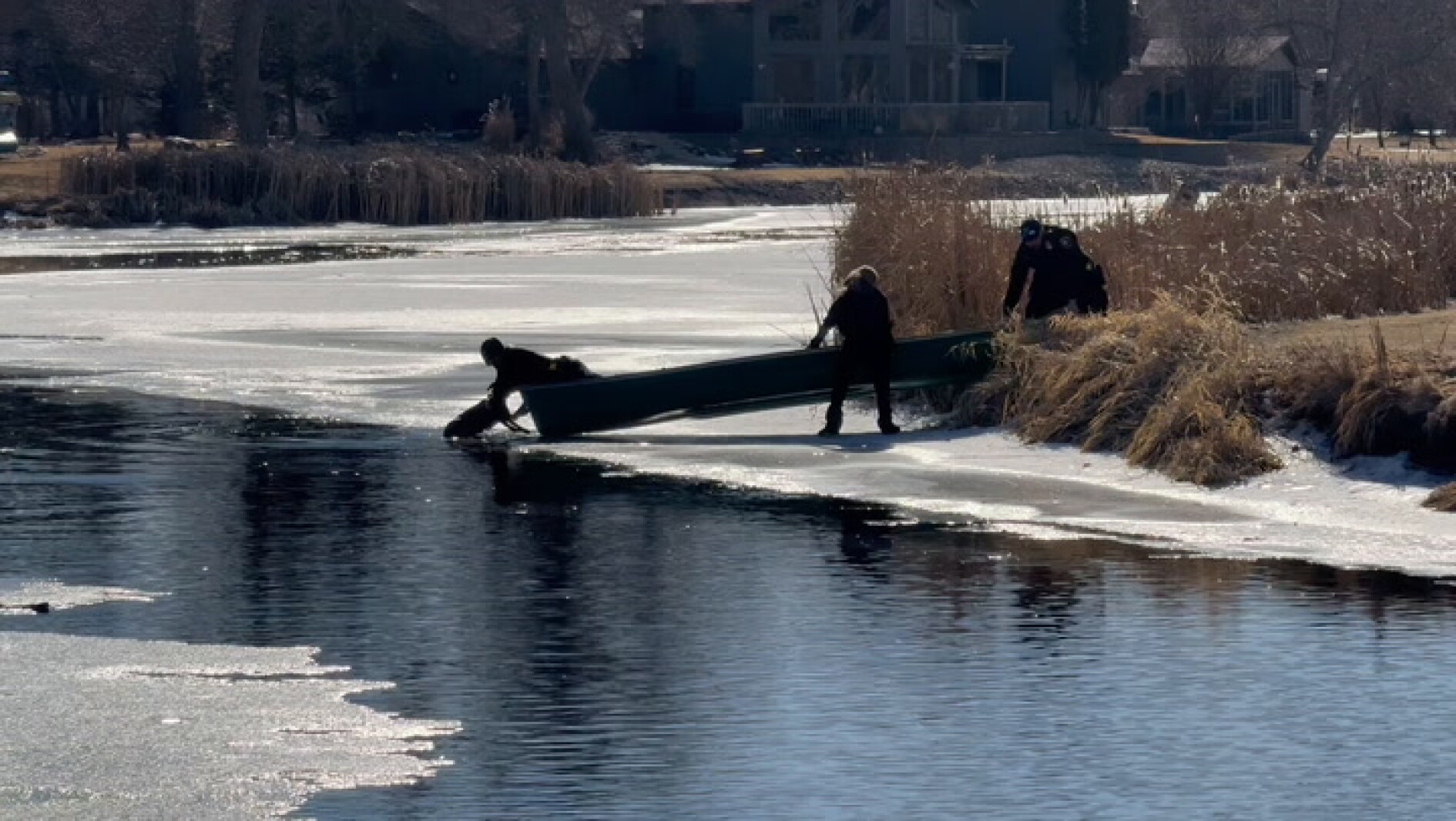 Jamestown police officers rescue dog from river at Klaus Park - Vimarsana News
