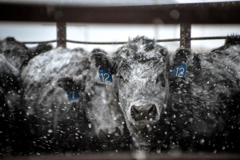 The true story of your food won't fit on a label - Agweek ...