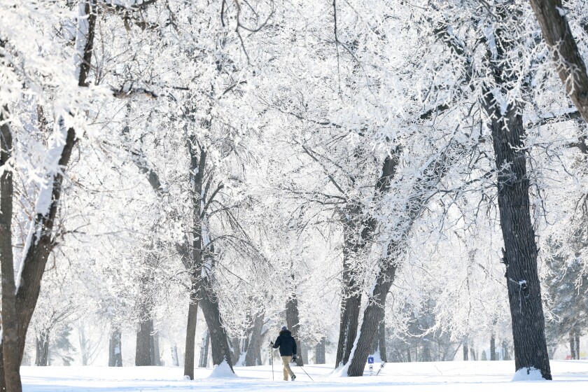 010623 Hoar Frost3.jpg