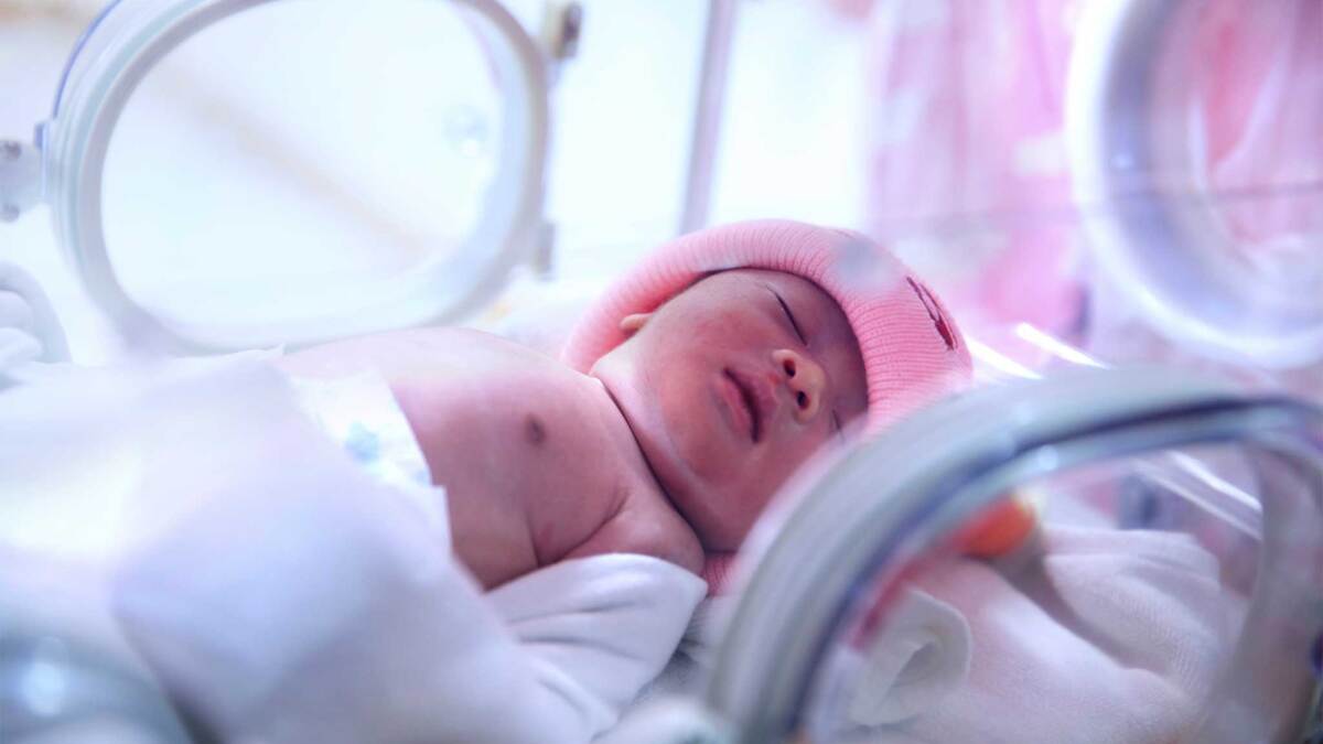 Births Aug 25 Sept 22 21 Pine And Lakes Echo Journal News Weather Sports From Pequot Lakes Minnesota Births Aug 25 Sept 22 21 Pine And Lakes Echo Journal News Weather Sports From Pequot Lakes Minnesota