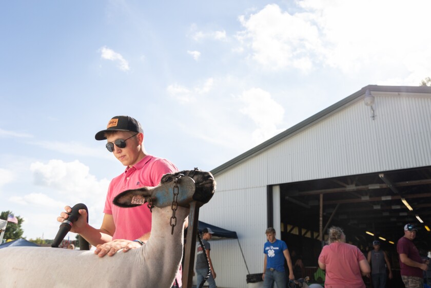 Winona County Fair