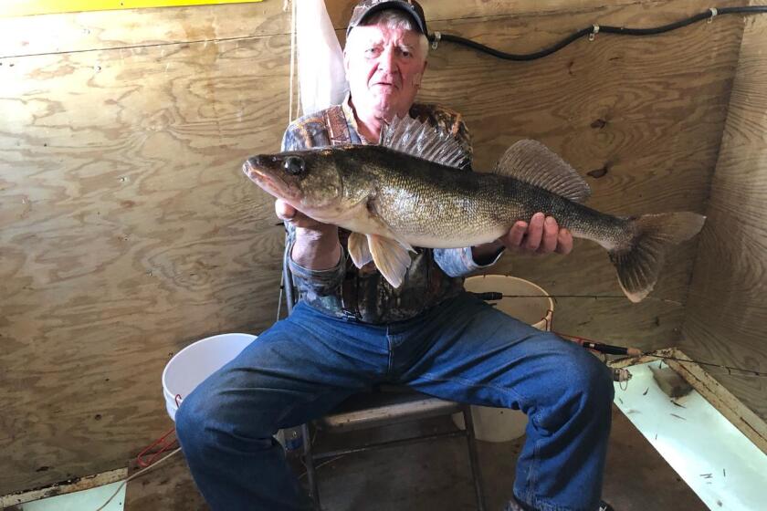 Jim Schmidt 29.5 inch walleye.jpg