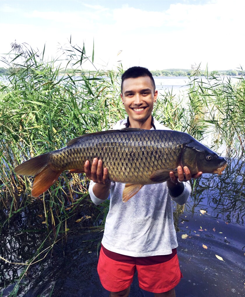 Carp disease shows up in area lakes as researchers look for ways virus  could control the invasive fish - Alexandria Echo Press