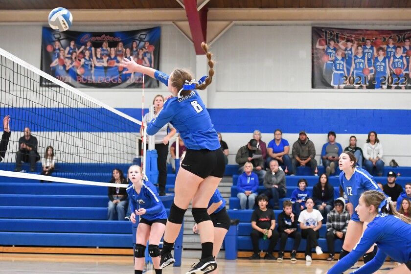#8 Megan Matarelli.jpg