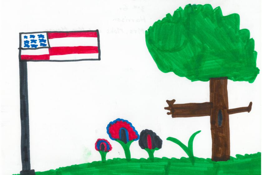 Drawing of the American flag with flowers and a tree